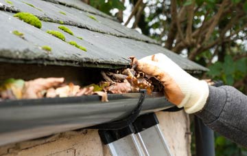 gutter cleaning Buckland