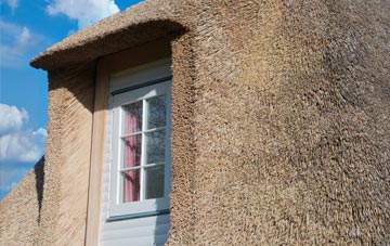 Buckland thatch roof disadvantages