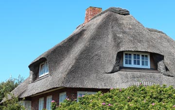 thatch roofing Buckland