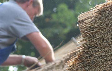 professional Buckland thatchers