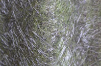 Buckland fibreglass roof work